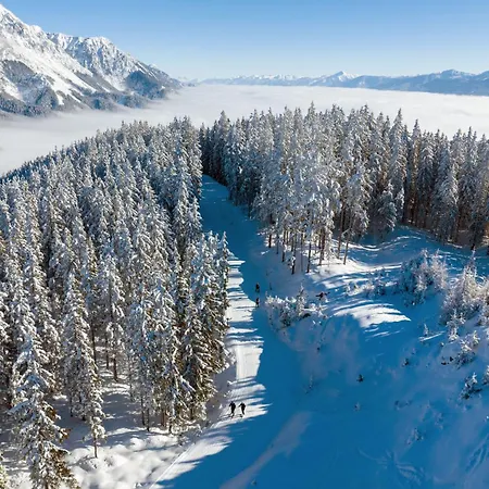 Alpin 207 * Шладминг